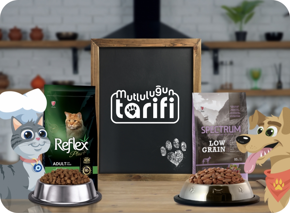Home Lider Pet Food